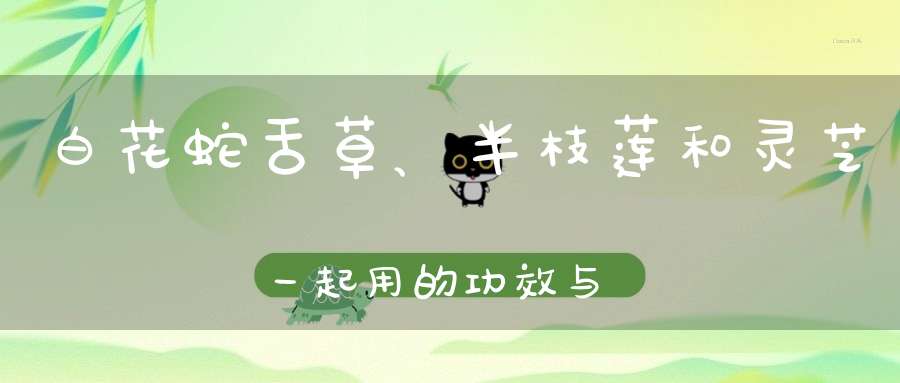 白花蛇舌草、半枝莲和灵芝一起用的功效与作用？