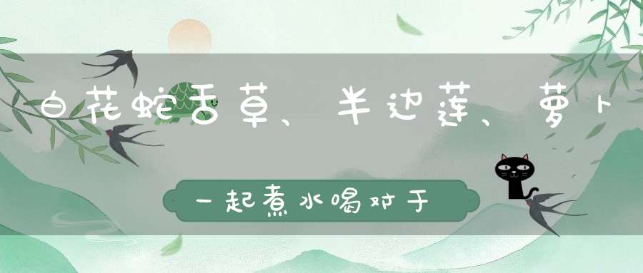 白花蛇舌草、半边莲、萝卜一起煮水喝对于鼻咽癌有辅助治疗作？