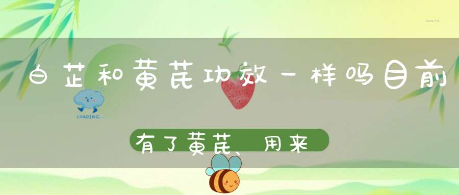 白芷和黄芪功效一样吗目前有了黄芪、用来泡茶？