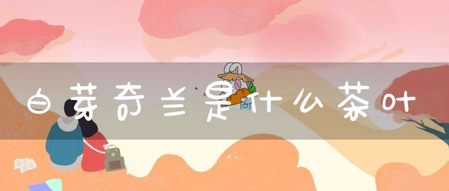 白芽奇兰是什么茶叶