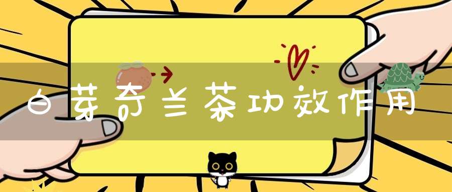 白芽奇兰茶功效作用
