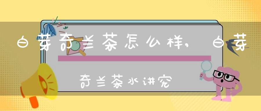 白芽奇兰茶怎么样,白芽奇兰茶水讲究
