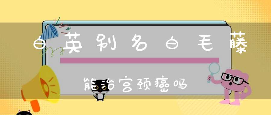 白英别名白毛藤能治宫颈癌吗？