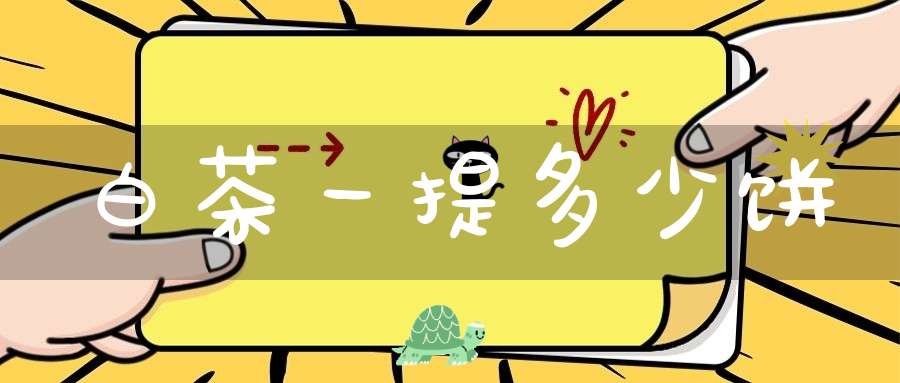 白茶一提多少饼