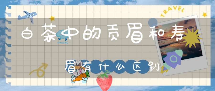 白茶中的贡眉和寿眉有什么区别