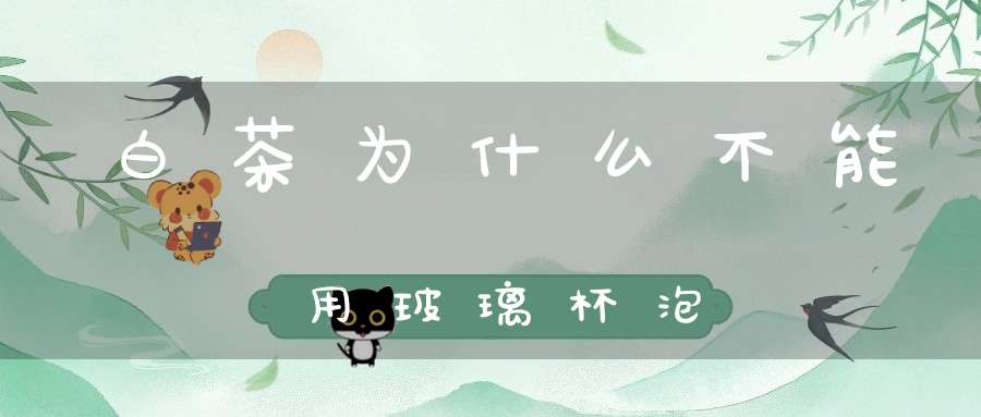 白茶为什么不能用玻璃杯泡