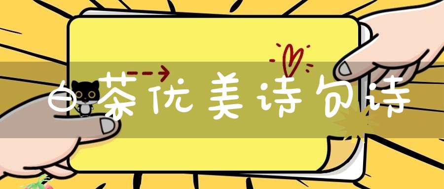 白茶优美诗句诗