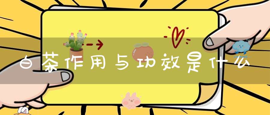 白茶作用与功效是什么