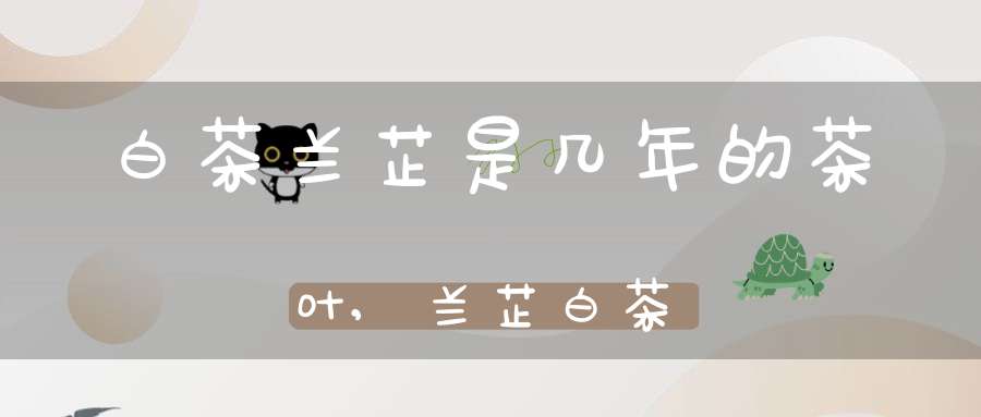 白茶兰芷是几年的茶叶,兰芷白茶