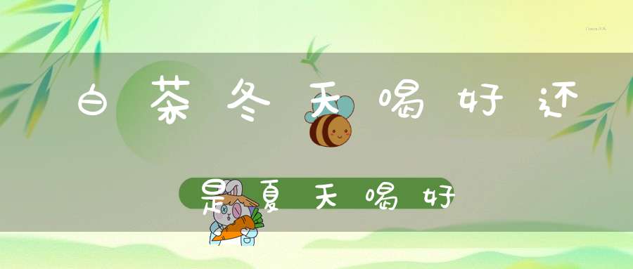 白茶冬天喝好还是夏天喝好