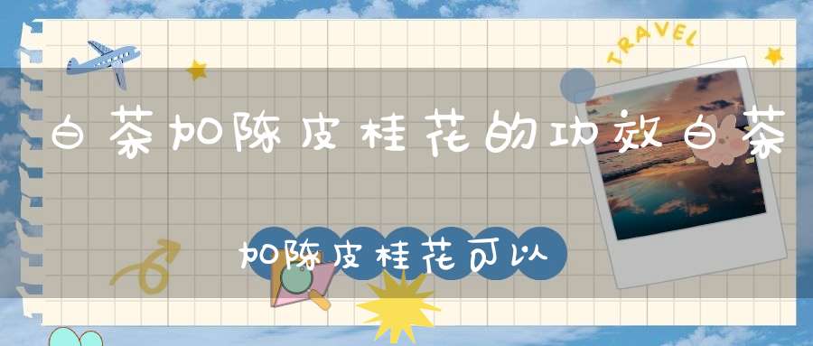 白茶加陈皮桂花的功效白茶加陈皮桂花可以喝吗