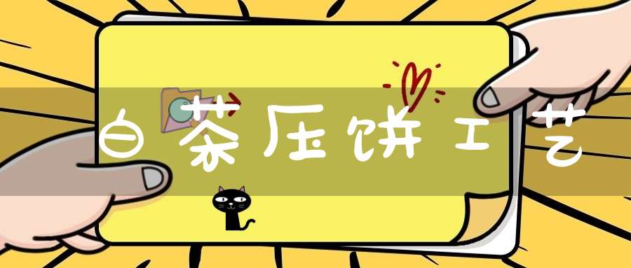 白茶压饼工艺