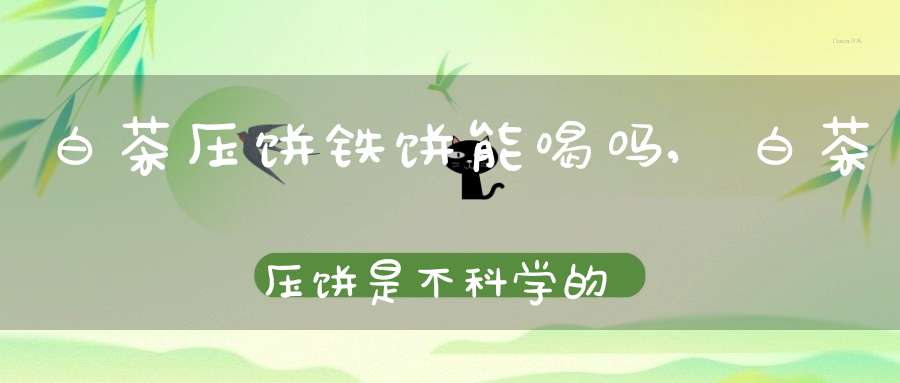 白茶压饼铁饼能喝吗,白茶压饼是不科学的