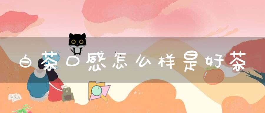 白茶口感怎么样是好茶