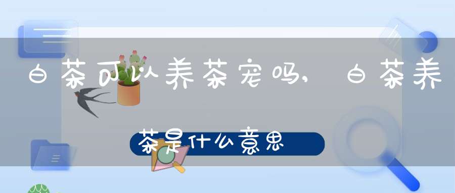 白茶可以养茶宠吗,白茶养茶是什么意思