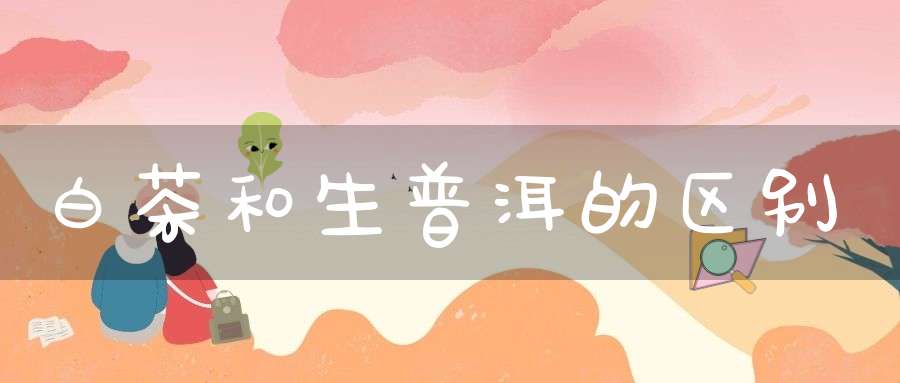 白茶和生普洱的区别
