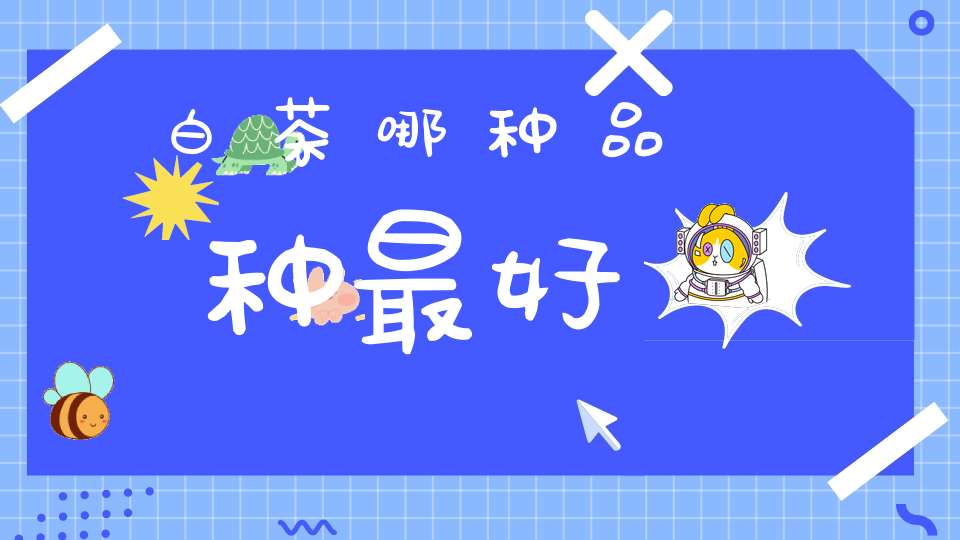 白茶哪种品种最好