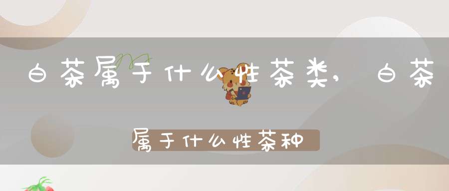 白茶属于什么性茶类,白茶属于什么性茶种