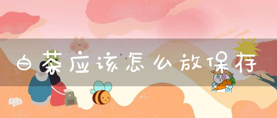 白茶应该怎么放保存