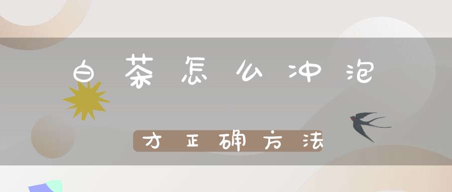 白茶怎么冲泡才正确方法