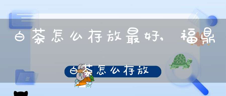 白茶怎么存放最好,福鼎白茶怎么存放