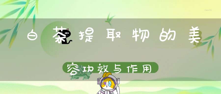 白茶提取物的美容功效与作用