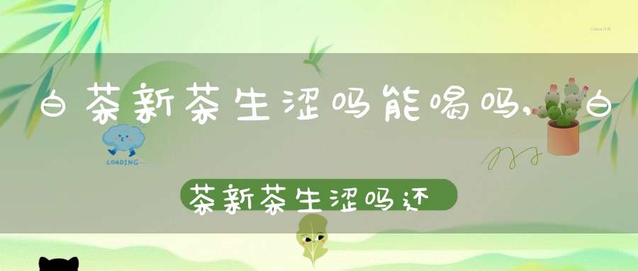 白茶新茶生涩吗能喝吗,白茶新茶生涩吗还能喝吗