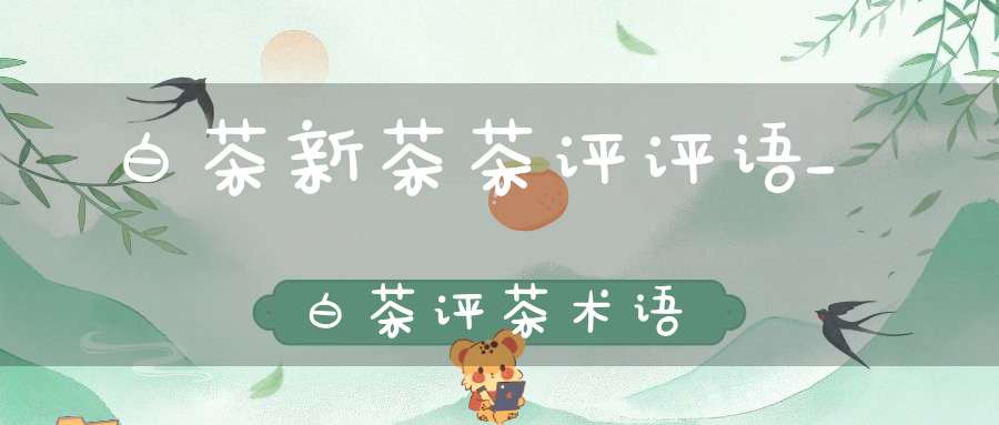 白茶新茶茶评评语_白茶评茶术语