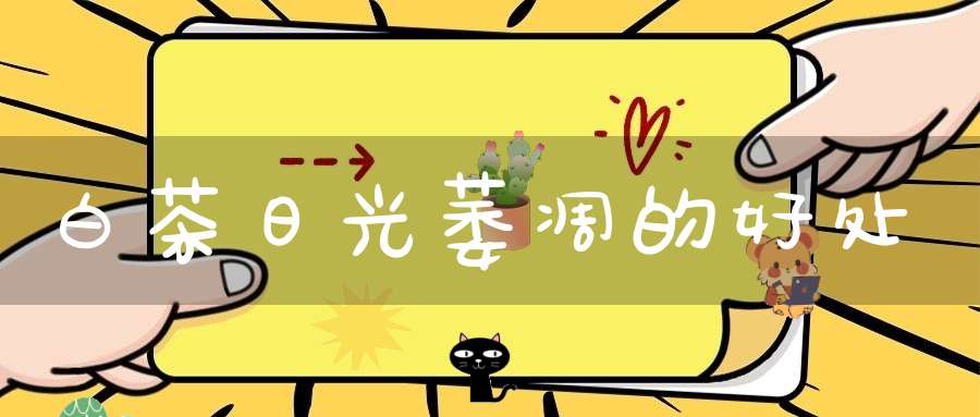 白茶日光萎凋的好处