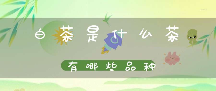 白茶是什么茶?有哪些品种