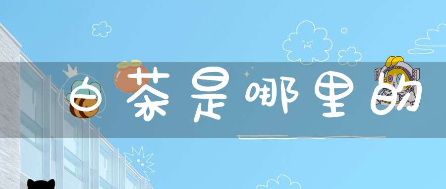 白茶是哪里的