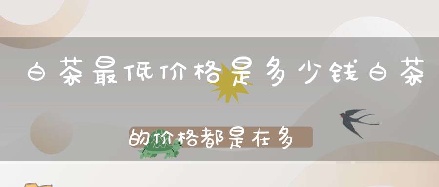 白茶最低价格是多少钱白茶的价格都是在多少