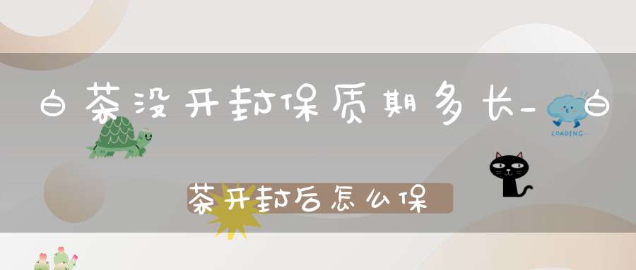 白茶没开封保质期多长_白茶开封后怎么保存