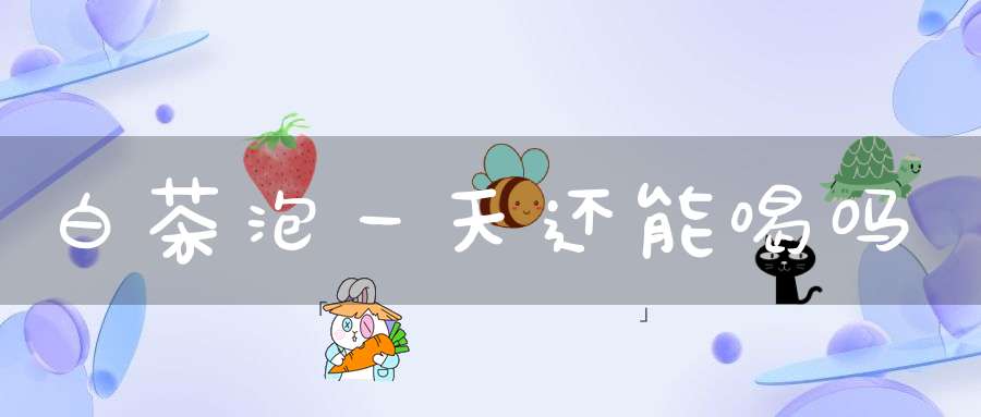 白茶泡一天还能喝吗