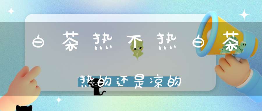 白茶热不热白茶热的还是凉的