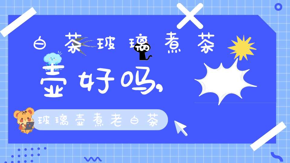 白茶玻璃煮茶壶好吗,玻璃壶煮老白茶