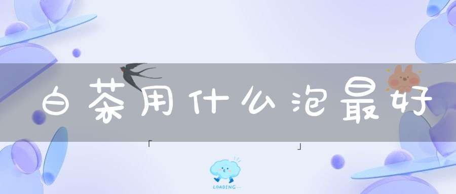 白茶用什么泡最好