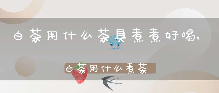 白茶用什么茶具煮煮好喝,白茶用什么煮茶器
