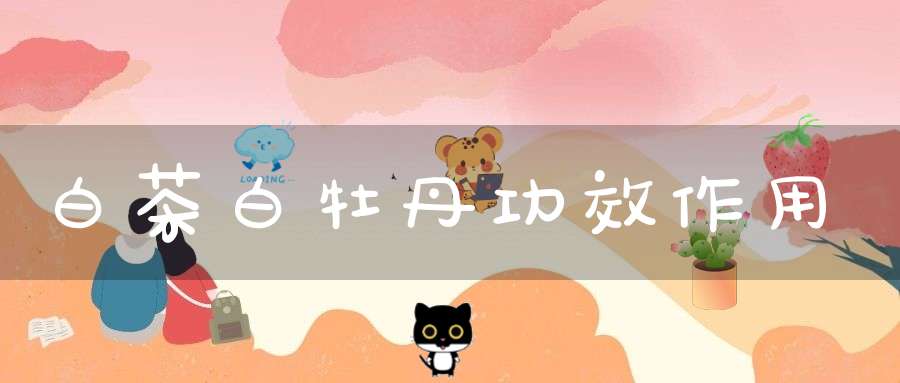 白茶白牡丹功效作用