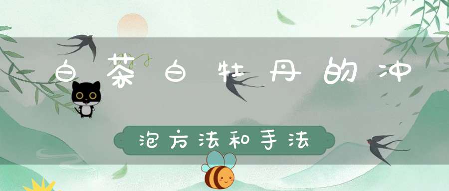 白茶白牡丹的冲泡方法和手法