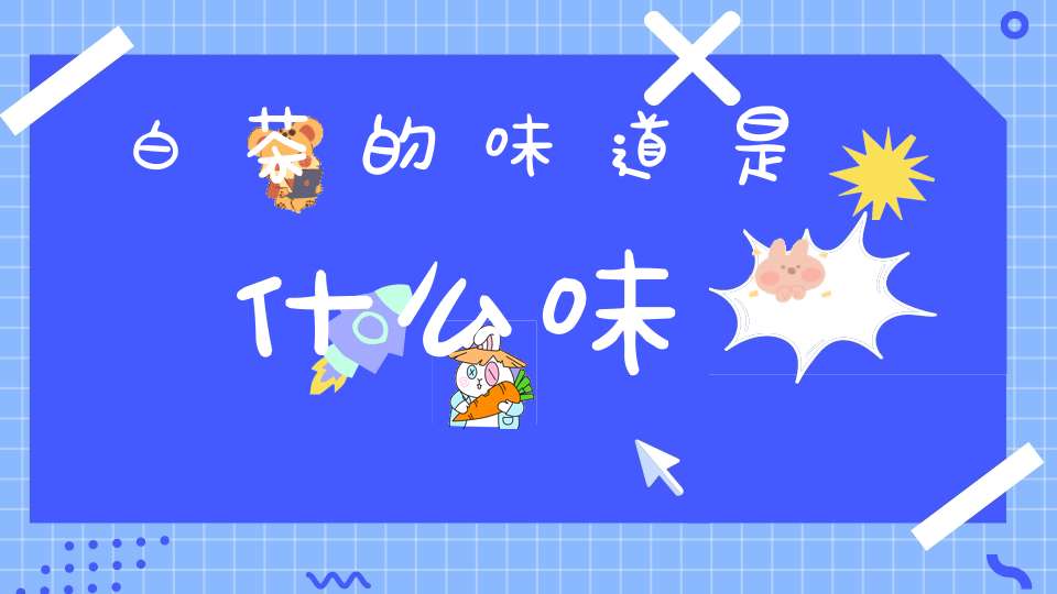 白茶的味道是什么味