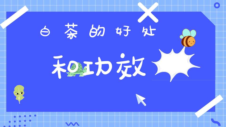 白茶的好处和功效