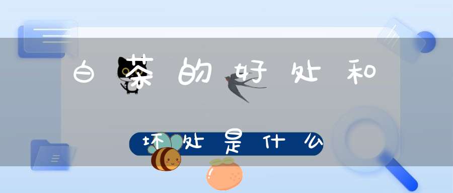 白茶的好处和坏处是什么
