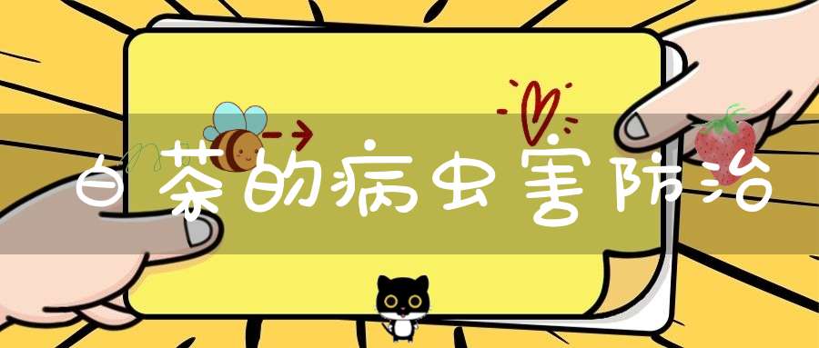 白茶的病虫害防治