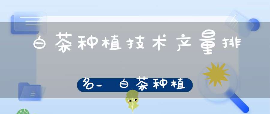 白茶种植技术产量排名_白茶种植