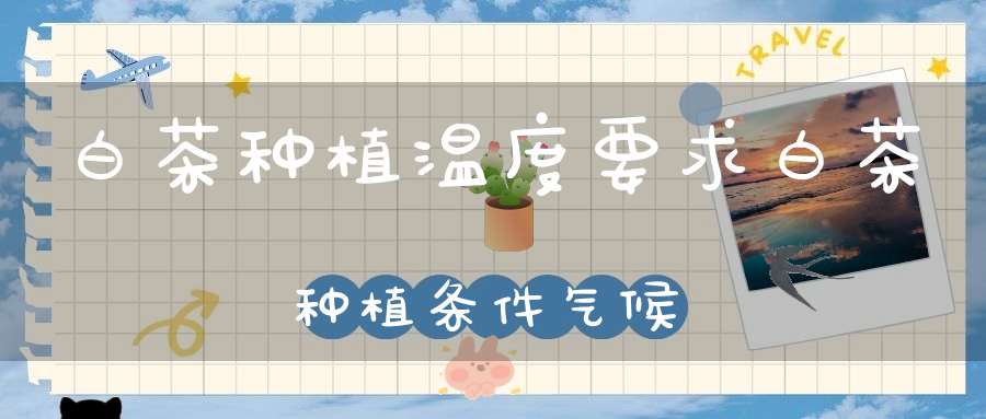 白茶种植温度要求白茶种植条件气候