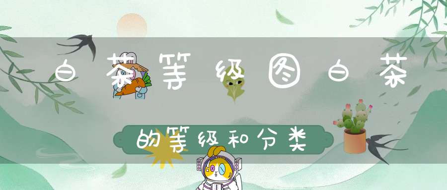 白茶等级图白茶的等级和分类