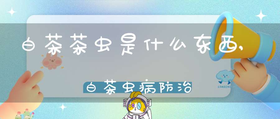 白茶茶虫是什么东西,白茶虫病防治