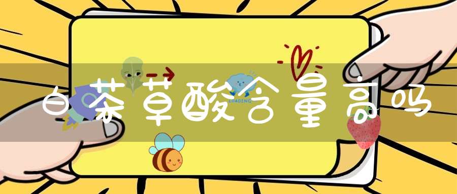 白茶草酸含量高吗