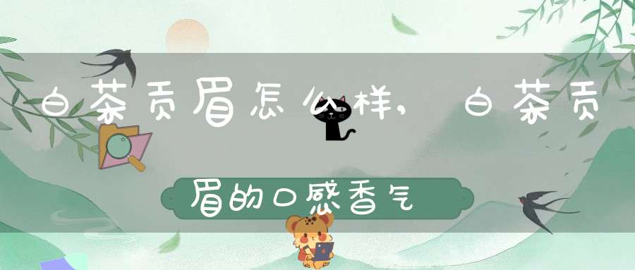 白茶贡眉怎么样,白茶贡眉的口感香气